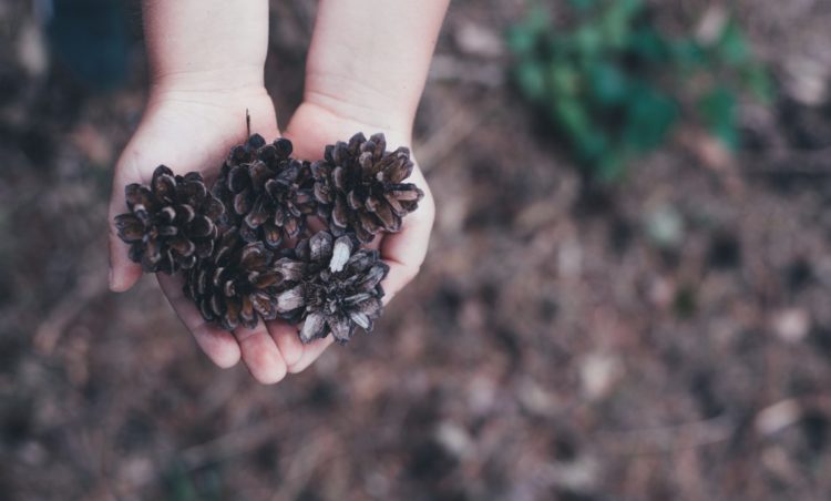 Exploring the Benefits of Sensory Play for Children