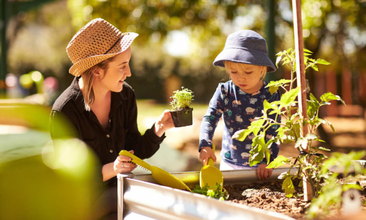 Playground to Plate® - From Growing Veggies to Growing Independence