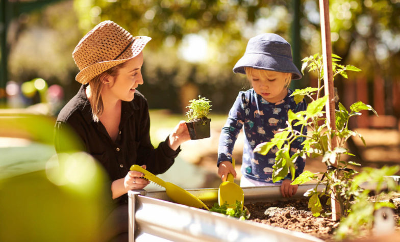 Playground to Plate® &#8211; From Growing Veggies to Growing Independence
