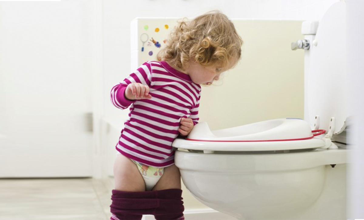 When & How To Start The Toilet Training Process When & How To Start The Toilet Training Process