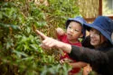 211207_ALLABOUTCHILDREN_PRESCHOOL_BUGS_1264_ALI - Copy