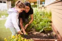 211208_ALLABOUTCHILDREN_PRESCHOOL_GARDENING_0041 - Copy