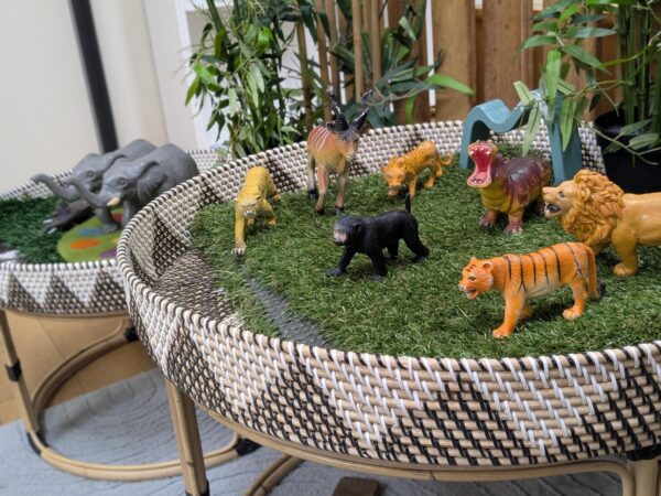 Display 2