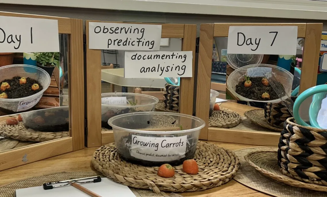 Linking Food of the Month to STEM Learning at Hornsby Preschool