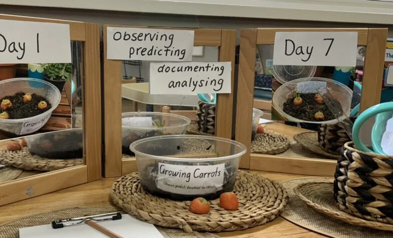 Linking Food of the Month to STEM Learning at Hornsby Preschool
