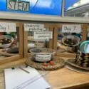 E88B1E4D-9AAC-4FC4-B396-DB6DFFB34982_IMG_4688