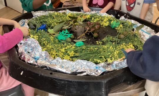 Welcoming Children’s Voices When Setting Up A Play Space