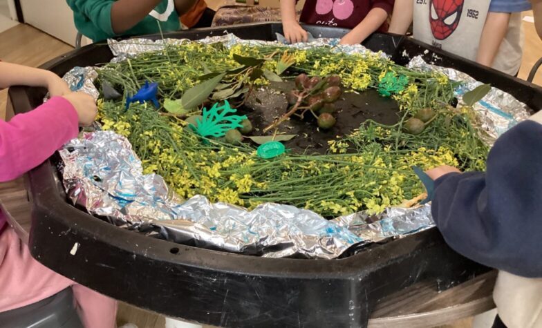 Welcoming Children’s Voices When Setting Up A Play Space