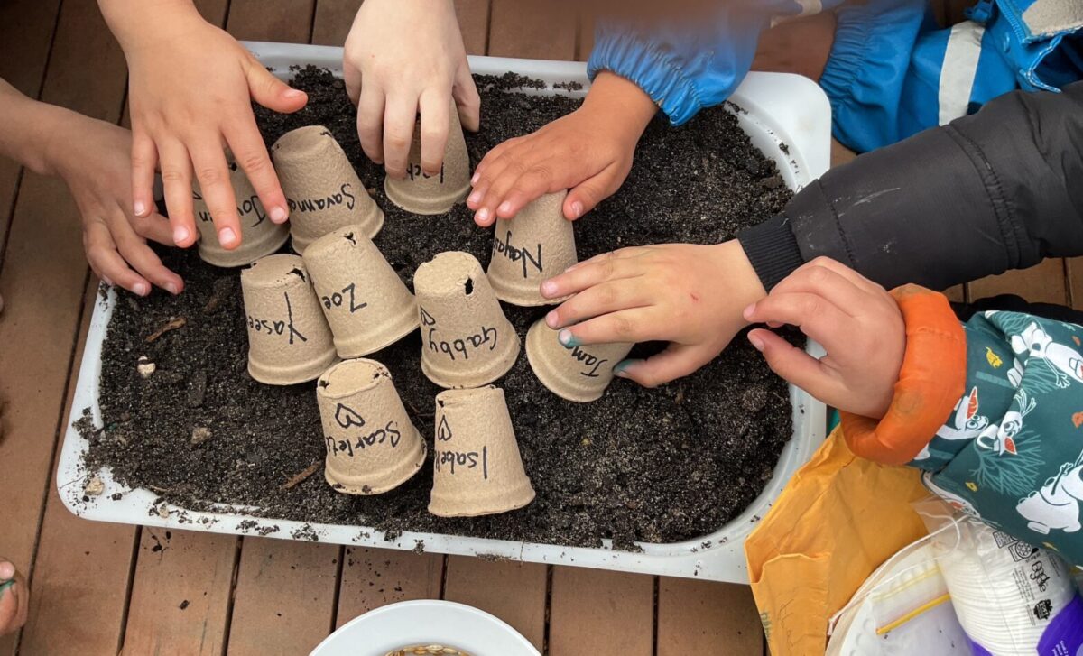 Kinder Children at OAC Mernda Explore Gardening and Seed Planting