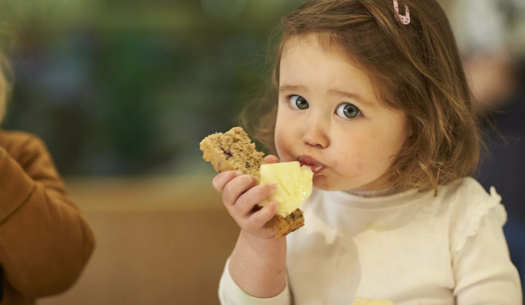 OAC_SURRY_HILLS_2414 - Copy