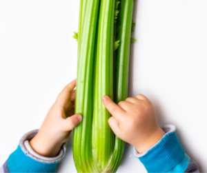 Touching celery