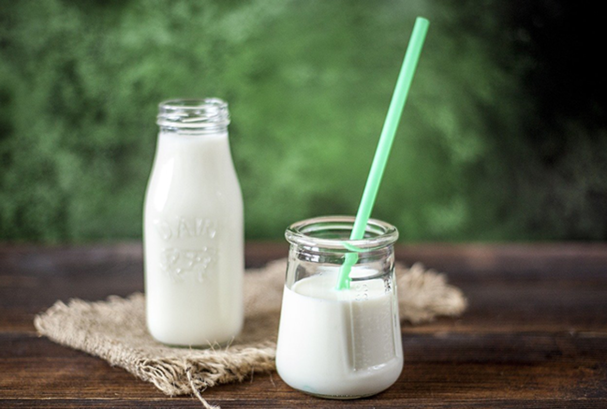 Milk for Toddlers &#8211; Learn The Facts